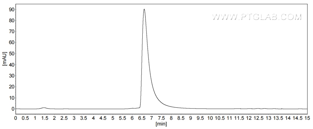The purity of Human CEACAM-1/CD66a was greater than 90% as determined by SEC-HPLC.