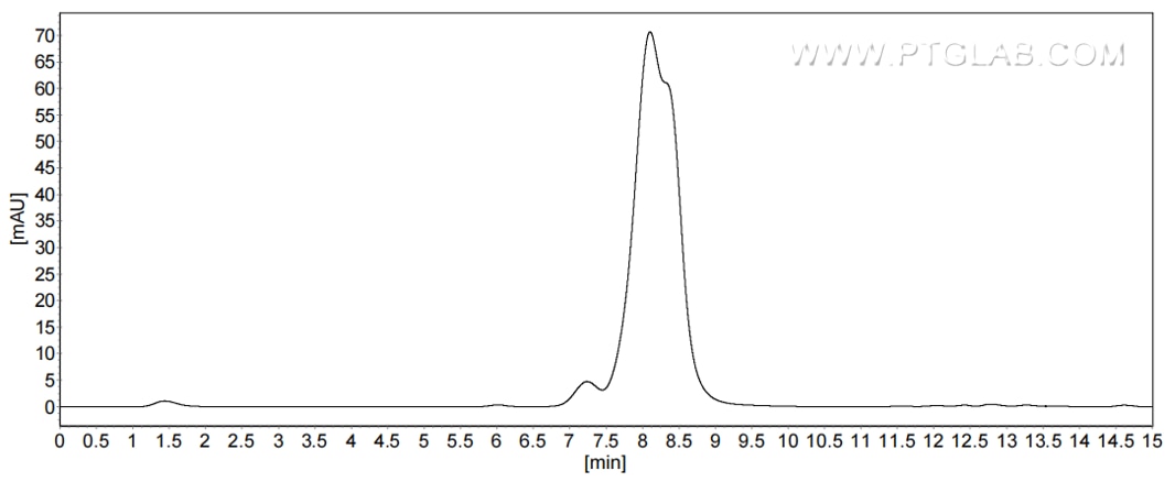 The purity of Human ORM1 was greater than 90% as determined by SEC-HPLC.