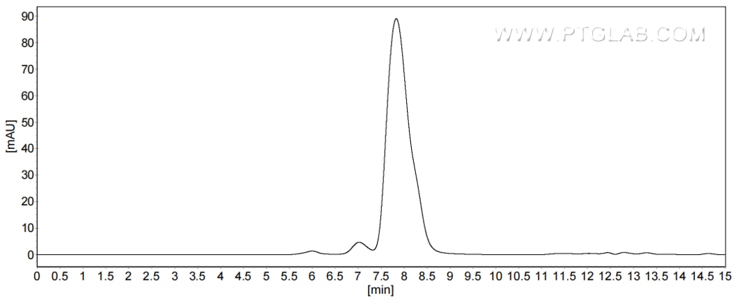 The purity of Human CD147 was greater than 90% as determined by SEC-HPLC.