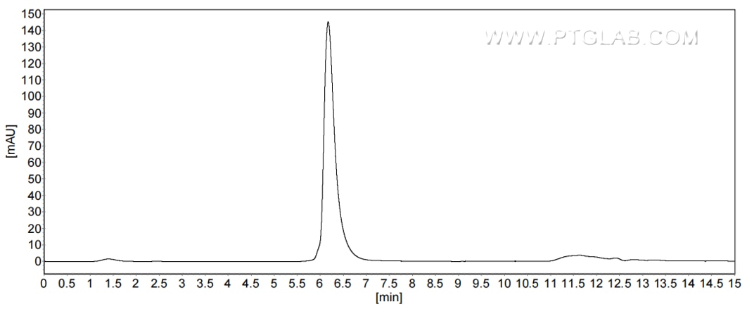 The purity of Human CEA/CD66e was greater than 90% as determined by SEC-HPLC.