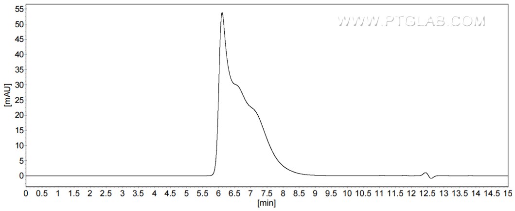 The purity of Human IL-18BP was greater than 90% as determined by SEC-HPLC.