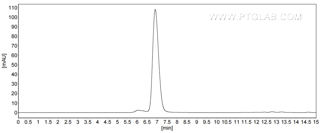 The purity of Human ICAM-1/CD54 was greater than 90% as determined by SEC-HPLC.