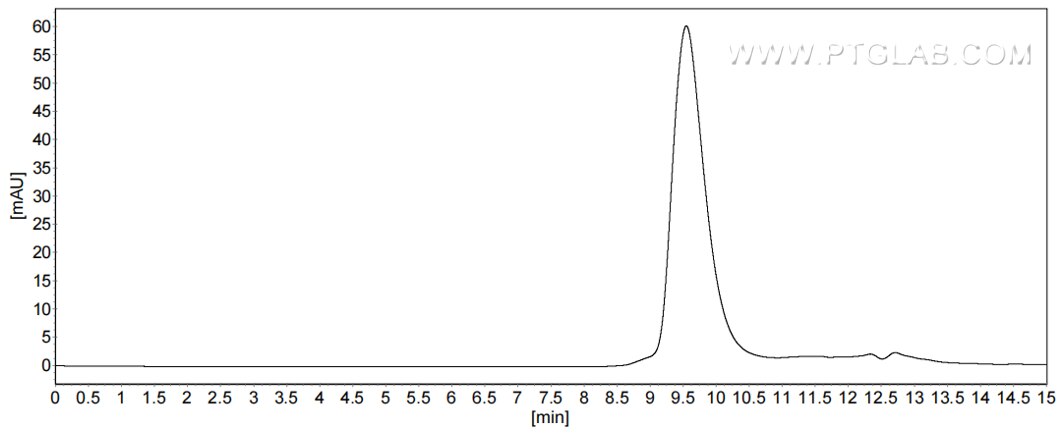 The purity of Mouse Lipocalin-2/NGAL was greater than 90% as determined by SEC-HPLC.