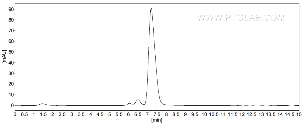 The purity of Human SIRP alpha/CD172a was greater than 90% as determined by SEC-HPLC.