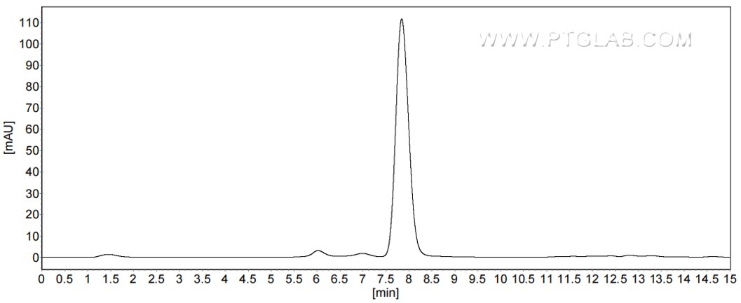 The purity of Mouse AFP was greater than 90% as determined by SEC-HPLC.