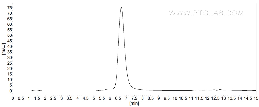 The purity of Mouse CX3CL1 was greater than 90% as determined by SEC-HPLC.