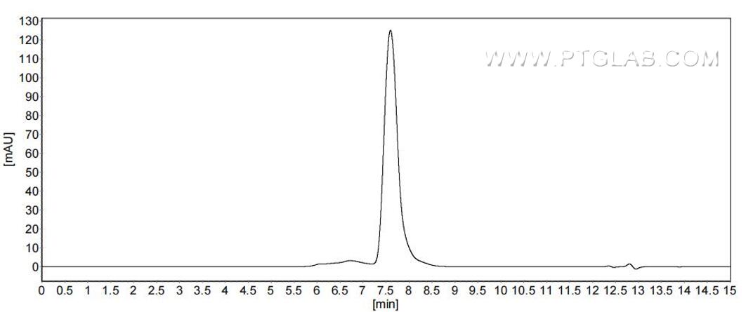 The purity of Mouse CD80 was greater than 90% as determined by SEC-HPLC.