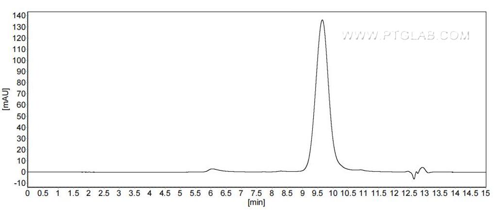 The purity of Human TNF-beta was greater than 90% as determined by SEC-HPLC.