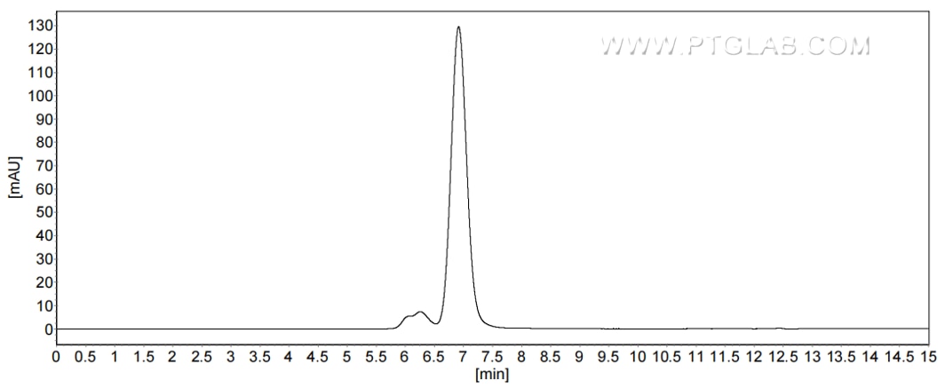 The purity of Mouse CD200 was greater than 90% as determined by SEC-HPLC.