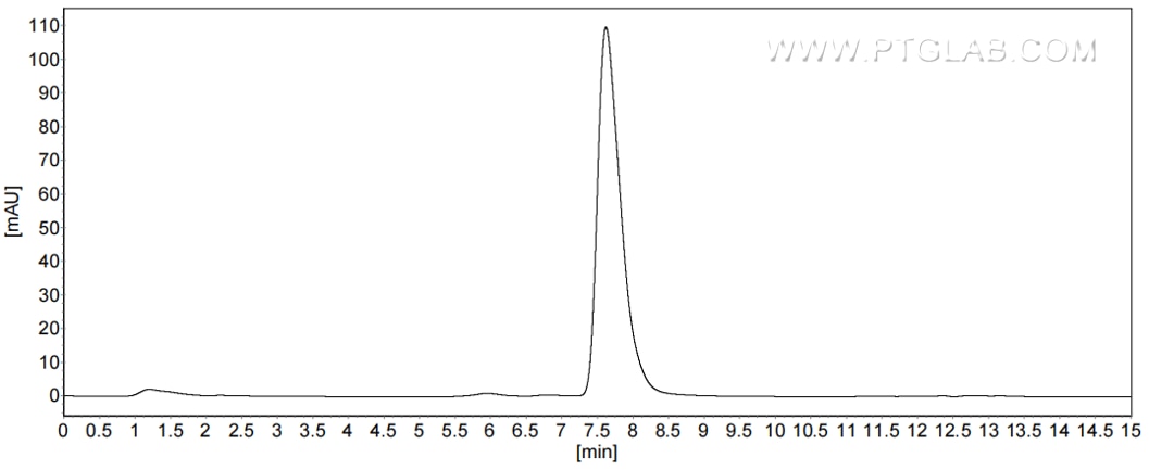 The purity of Human SPARC was greater than 90% as determined by SEC-HPLC.