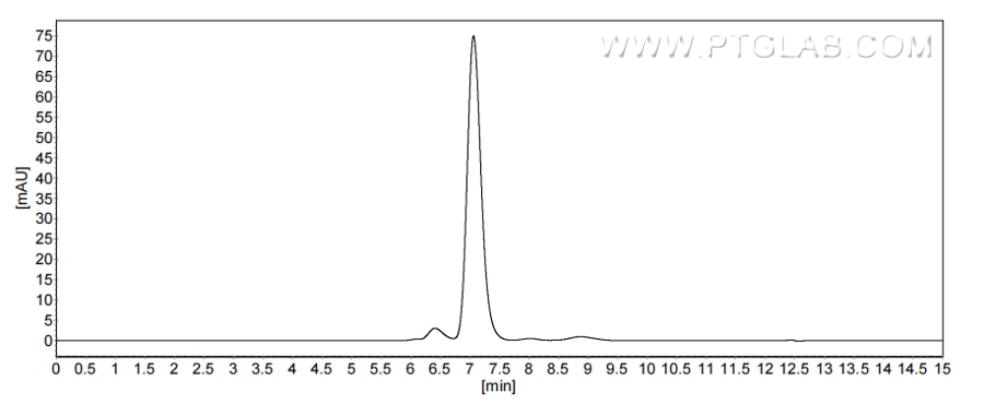 The purity of Human DCIR/CLEC4A was greater than 90% as determined by SEC-HPLC.