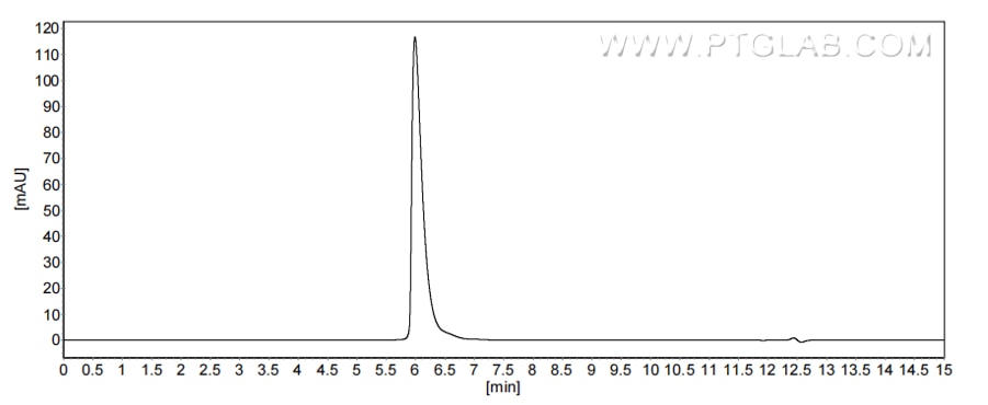 The purity of Mouse CEACAM-1/CD66a was greater than 90% as determined by SEC-HPLC.