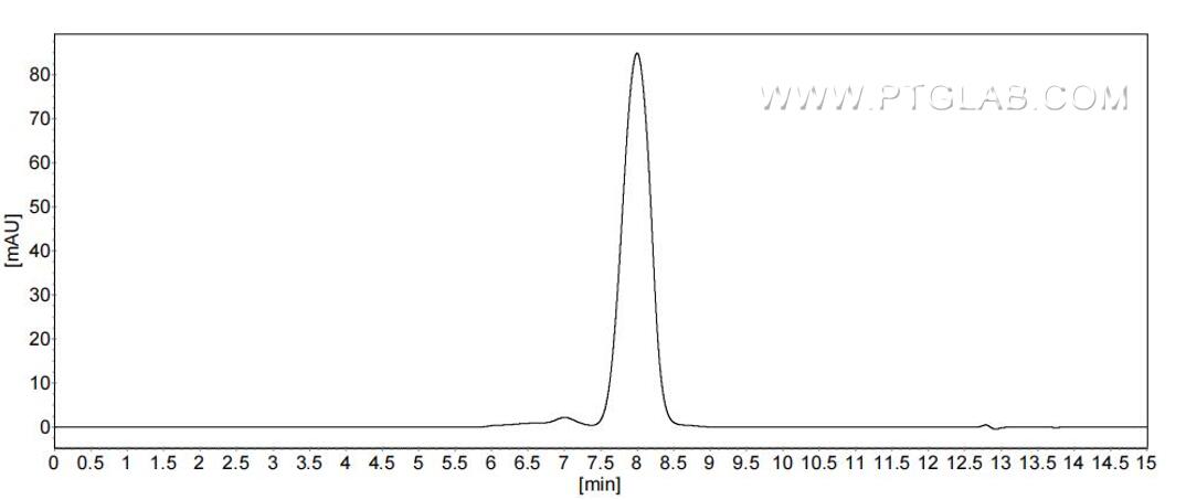 The purity of Mouse IFN-gamma R1 was greater than 90% as determined by SEC-HPLC.