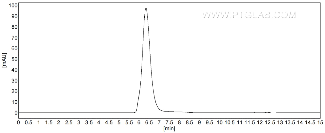 The purity of Human LYVE-1 was greater than 90% as determined by SEC-HPLC.