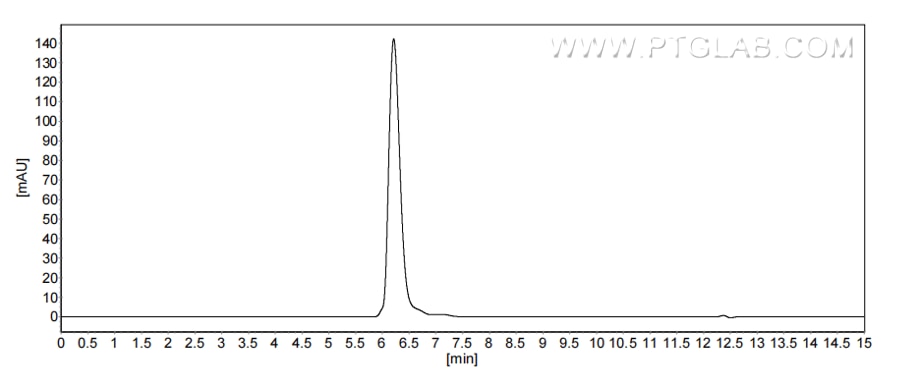 The purity of Human AXL was greater than 90% as determined by SEC-HPLC.
