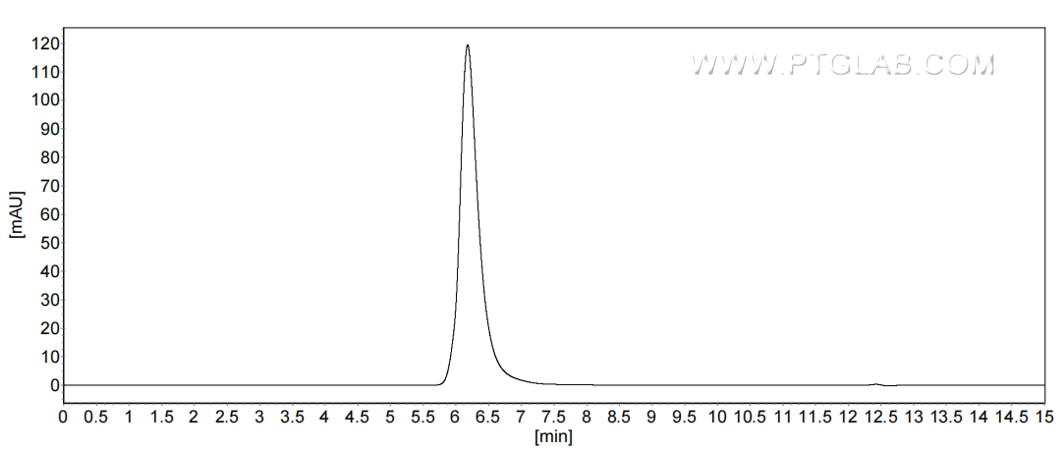 The purity of Human Nectin-1/PVRL1 was greater than 90% as determined by SEC-HPLC.