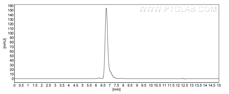The purity of Human CD99 was greater than 90% as determined by SEC-HPLC.
