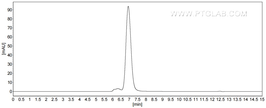 The purity of Mouse PD-L2/B7-DC was greater than 90% as determined by SEC-HPLC.