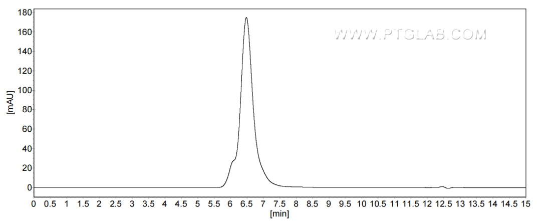 The purity of Mouse Glycophorin A was greater than 90% as determined by SEC-HPLC.