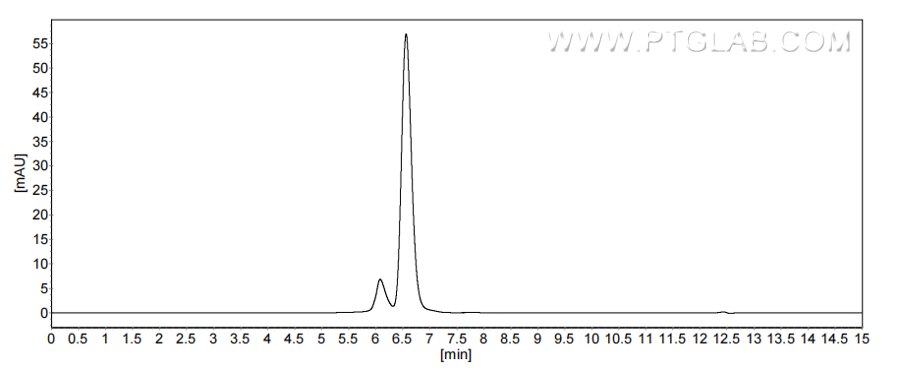 The purity of Rat CD4 was greater than 90% as determined by SEC-HPLC.
