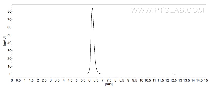 The purity of Mouse CD107b/LAMP2 was greater than 90% as determined by SEC-HPLC.