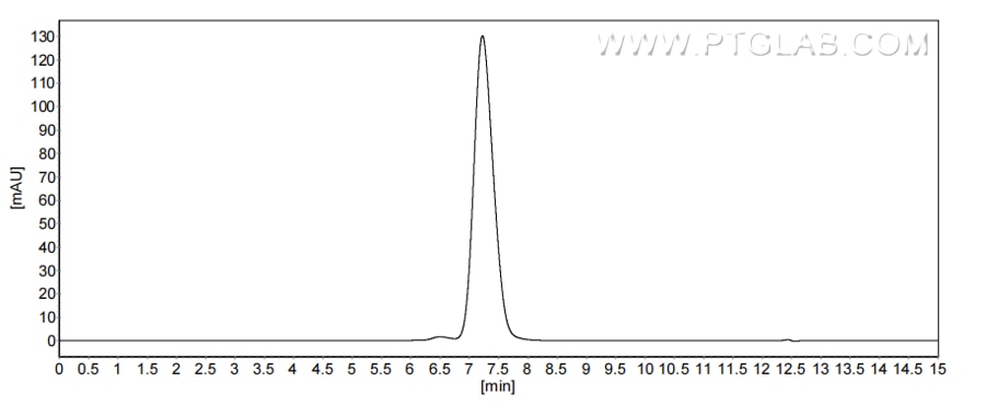 The purity of Human CD63 was greater than 90% as determined by SEC-HPLC.