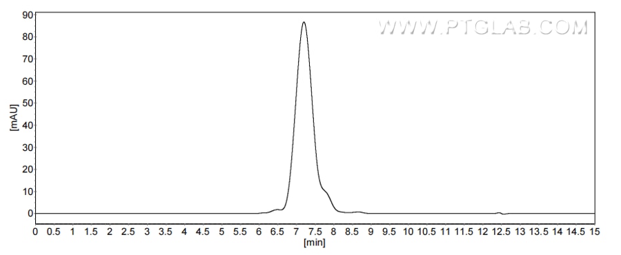 The purity of Mouse CD24 was greater than 90% as determined by SEC-HPLC.