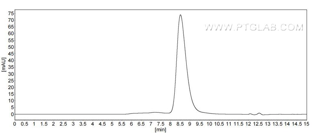 The purity of Human CD33 was greater than 90% as determined by SEC-HPLC.
