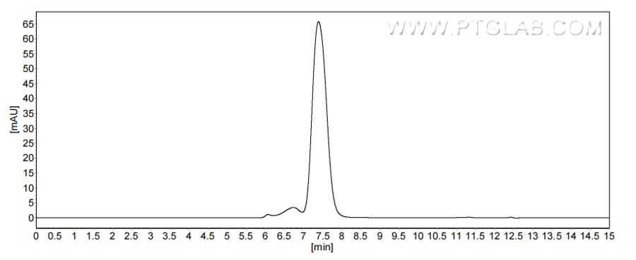 The purity of Human CD53 was greater than 90% as determined by SEC-HPLC.