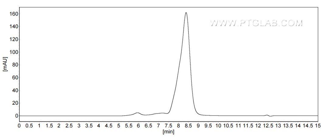 The purity of Human OXT was greater than 90% as determined by SEC-HPLC. The purity of Human OXT was greater than 90% as determined by SEC-HPLC.