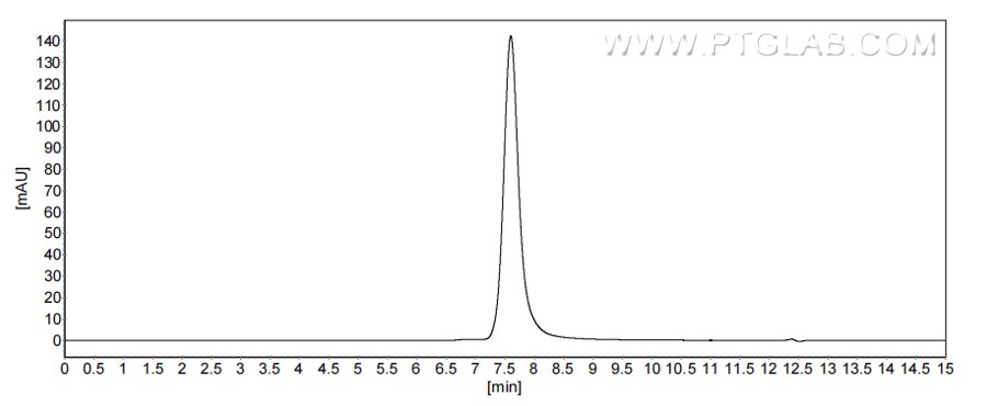 The purity of Mouse CXCL2 was greater than 90% as determined by SEC-HPLC.