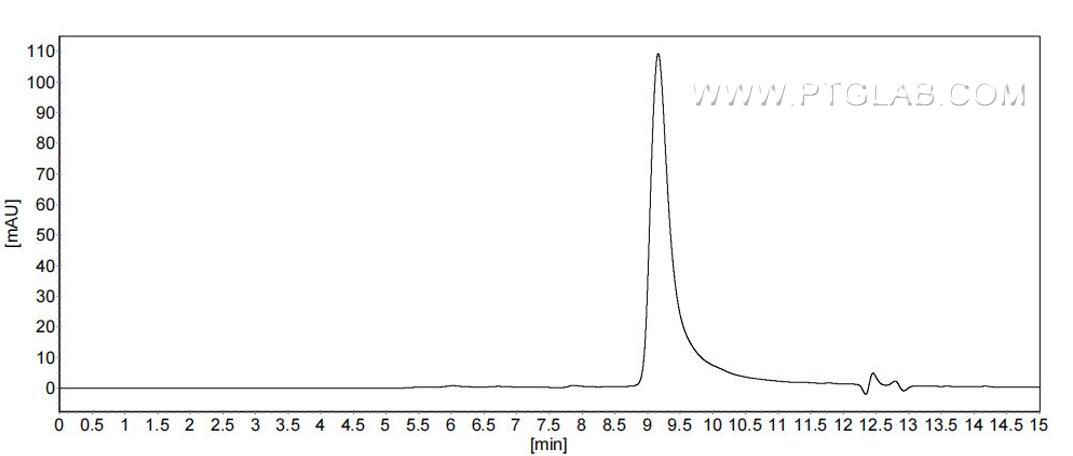 The purity of Mouse CCL22 was greater than 90% as determined by SEC-HPLC. The purity of Mouse CCL22 was greater than 90% as determined by SEC-HPLC.