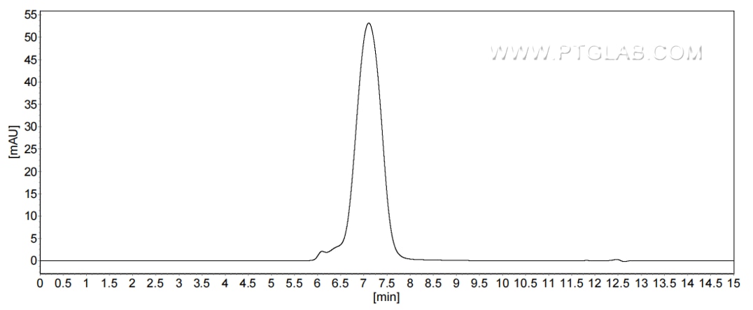 The purity of Human TSPAN7 was greater than 90% as determined by SEC-HPLC.