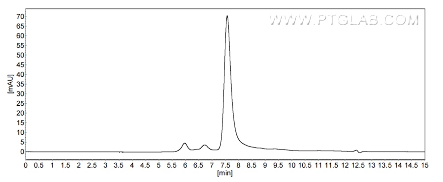 The purity of Human CCL27 was greater than 90% as determined by SEC-HPLC.