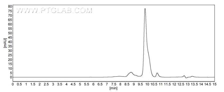 The purity of Human KLK14 was greater than 90% as determined by SEC-HPLC. The purity of Human KLK14 was greater than 90% as determined by SEC-HPLC.