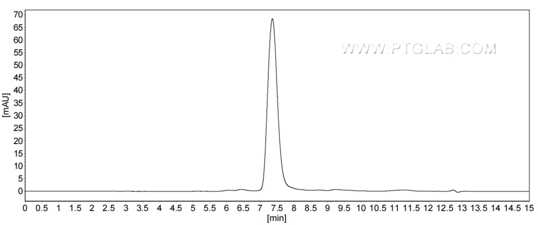 The purity of Mouse OLR1 was greater than 90% as determined by SEC-HPLC.
