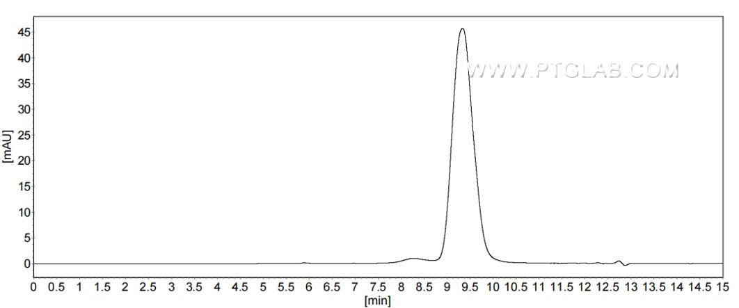 The purity of Human CXCL1 was greater than 90% as determined by SEC-HPLC. The purity of Human CXCL1 was greater than 90% as determined by SEC-HPLC.