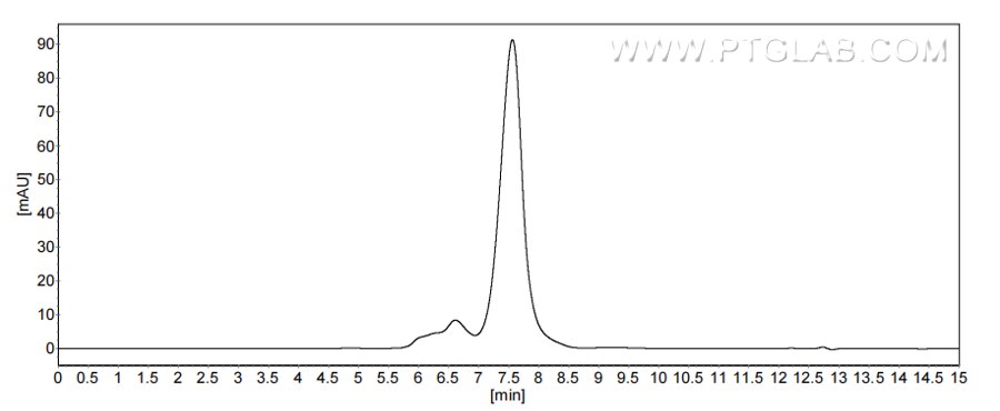 The purity of Human B7-H6 was greater than 90% as determined by SEC-HPLC. The purity of Human B7-H6 was greater than 90% as determined by SEC-HPLC.