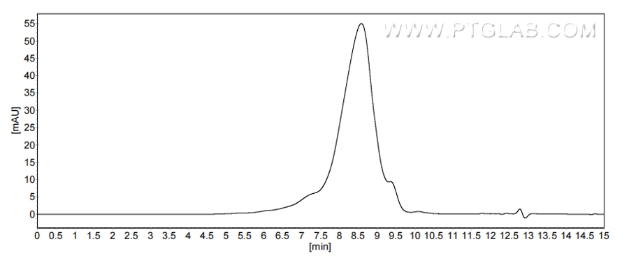 The purity of Human IGLV3-21 was greater than 90% as determined by SEC-HPLC.