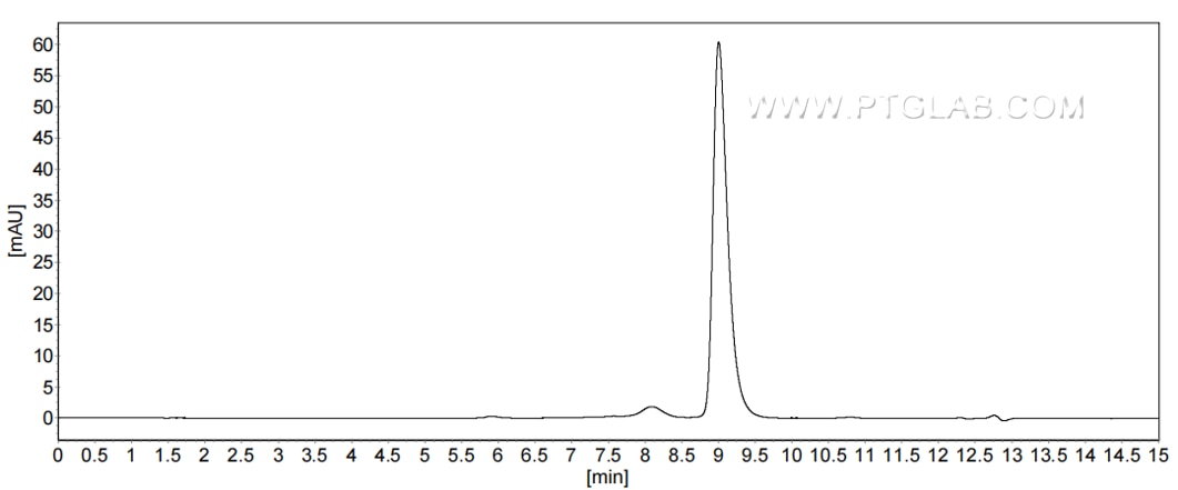 The purity of Human IFNA1 was greater than 90% as determined by SEC-HPLC. The purity of Human IFNA1 was greater than 90% as determined by SEC-HPLC.