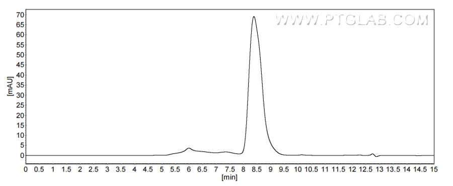 The purity of Rat IL-9 was greater than 90% as determined by SEC-HPLC. The purity of Rat IL-9 was greater than 90% as determined by SEC-HPLC.