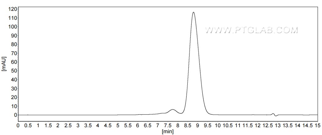 The purity of Human NCR3 was greater than 90% as determined by SEC-HPLC. The purity of Human NCR3 was greater than 90% as determined by SEC-HPLC.