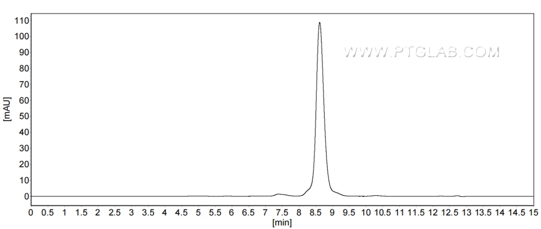 The purity of Mouse CD302 was greater than 90% as determined by SEC-HPLC. The purity of Mouse CD302 was greater than 90% as determined by SEC-HPLC.