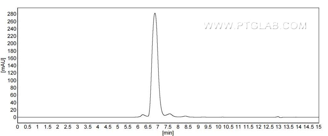 The purity of Mouse CD146 was greater than 90% as determined by SEC-HPLC.