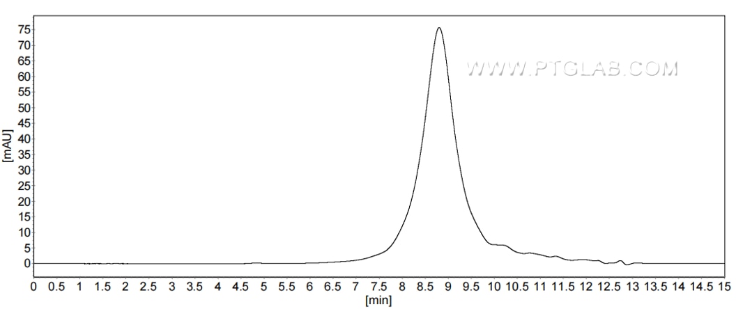 The purity of Mouse CD53 was greater than 90% as determined by SEC-HPLC.