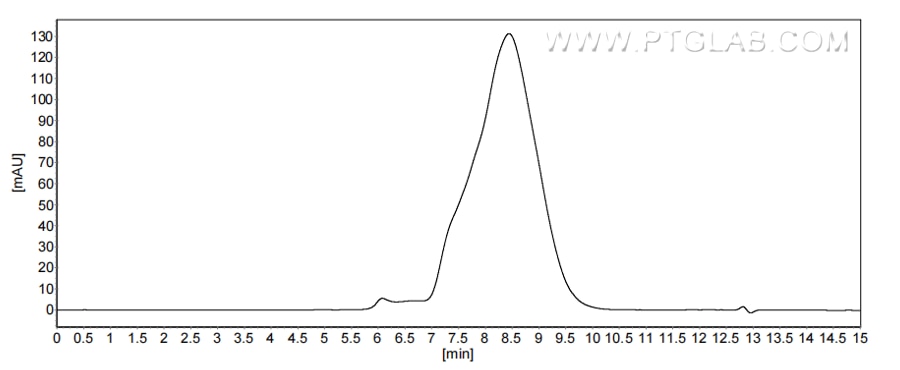 The purity of Mouse MGL1/CD301a was greater than 90% as determined by SEC-HPLC.