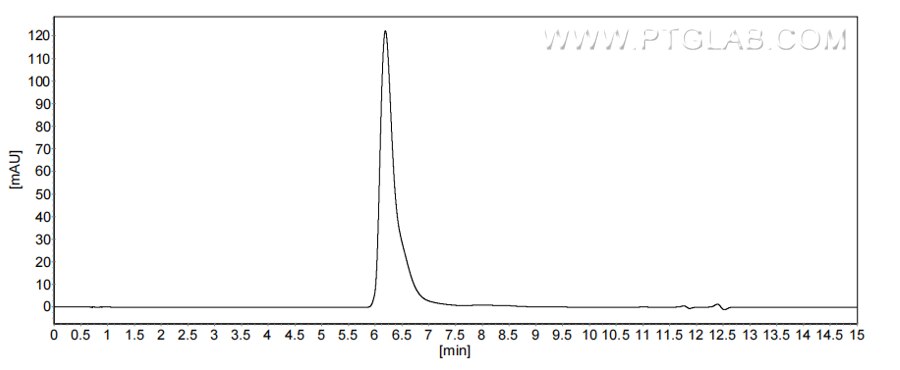The purity of Human TNFRSF21/DR6 was greater than 90% as determined by SEC-HPLC.