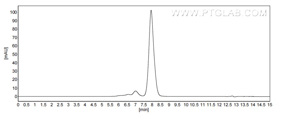 The purity of Mouse Angiotensinogen was greater than 90% as determined by SEC-HPLC.