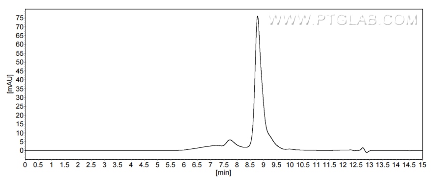 The purity of Mouse ESM1 was greater than 90% as determined by SEC-HPLC.