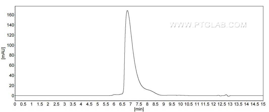 The purity of Mouse SLAM was greater than 90% as determined by SEC-HPLC.